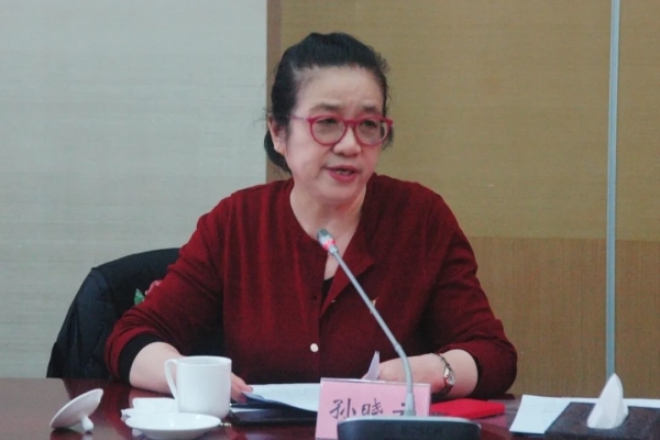 孙晓云作总结发言